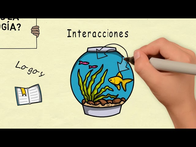 Conexión entre ecología y química
