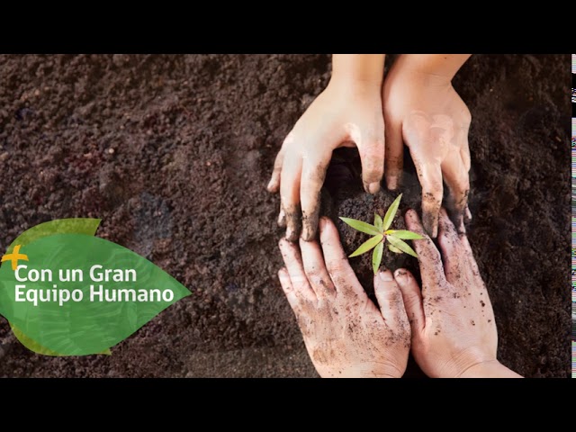 Contribuyendo al desarrollo sustentable