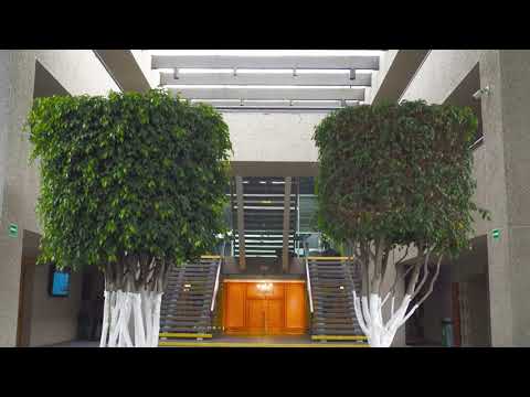 Descubre el Centro de Estudios Superiores San Ángel