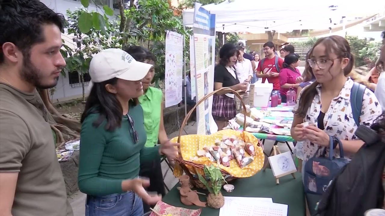 Descubre las Universidades Particulares de Nutrición en Xalapa