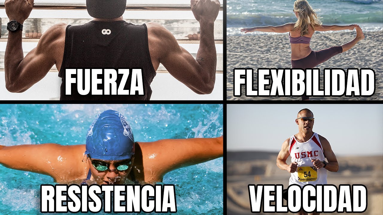 Descubre los elementos de la condición física