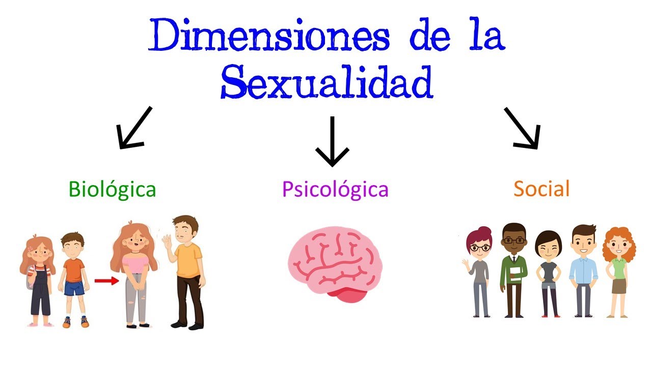 Dimensiones de la educación: Explorando los diferentes aspectos