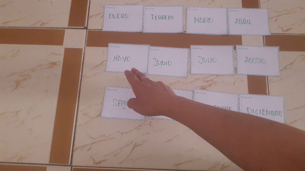 Duración de un año escolar en cuatrimestres