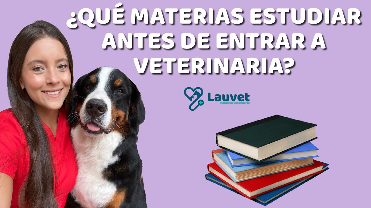 Estudios necesarios para ser veterinario/a