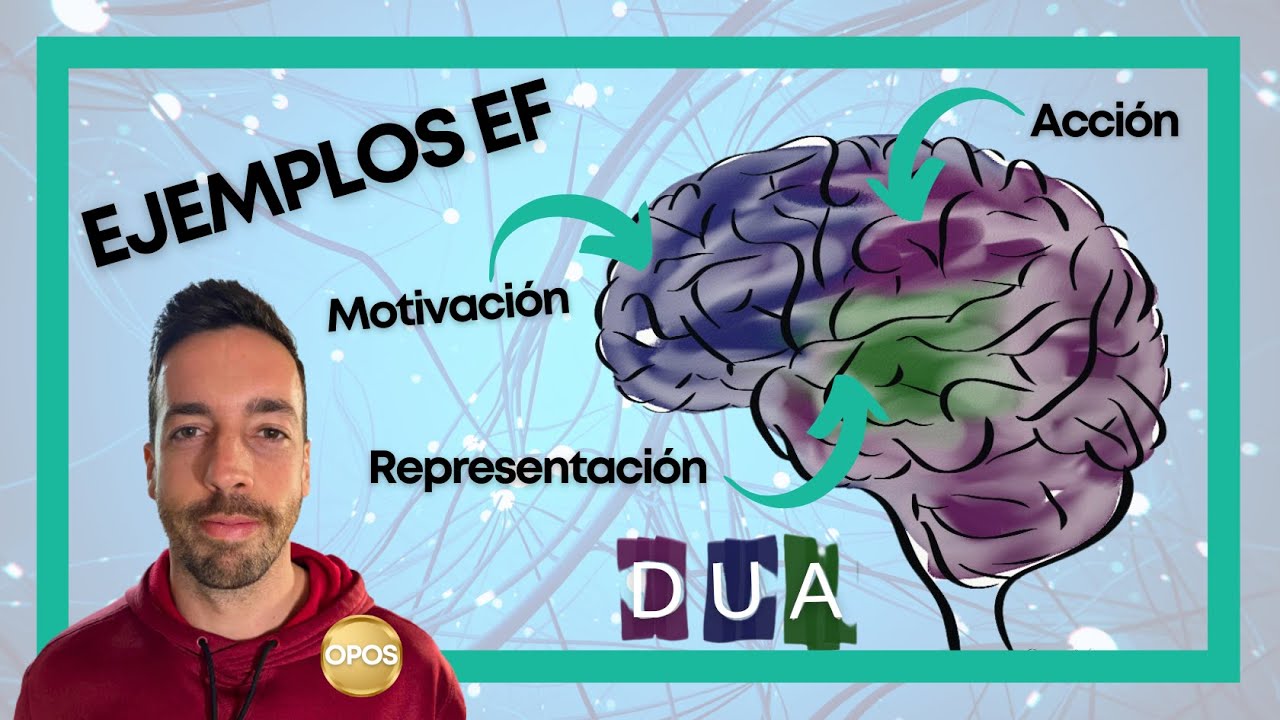 Fundamentos esenciales de la educación física