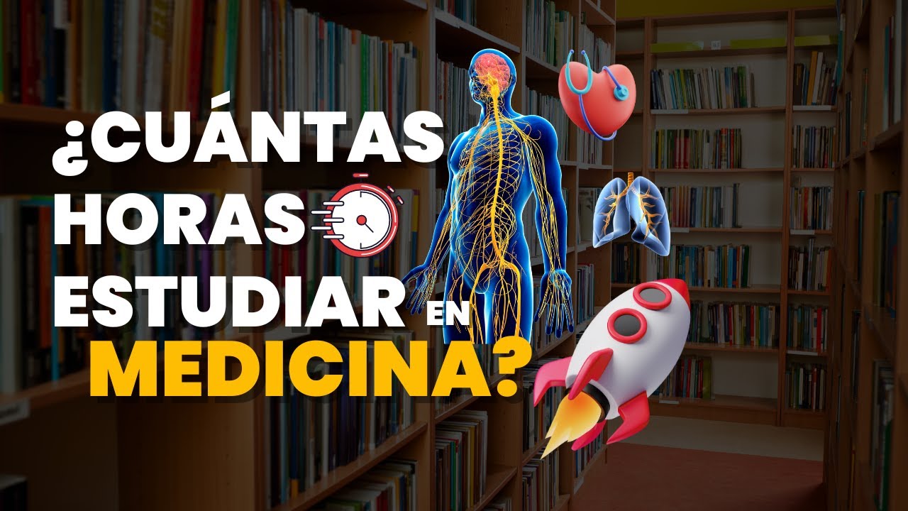 Horas de internado en la formación médica