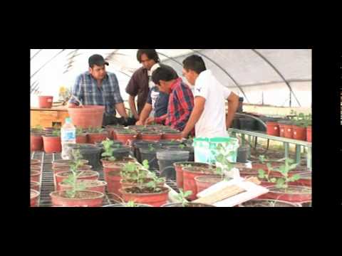 IT Valle del Guadiana: Tu Futuro en Tecnología