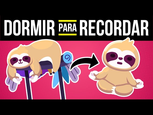 Importancia del descanso previo a un examen