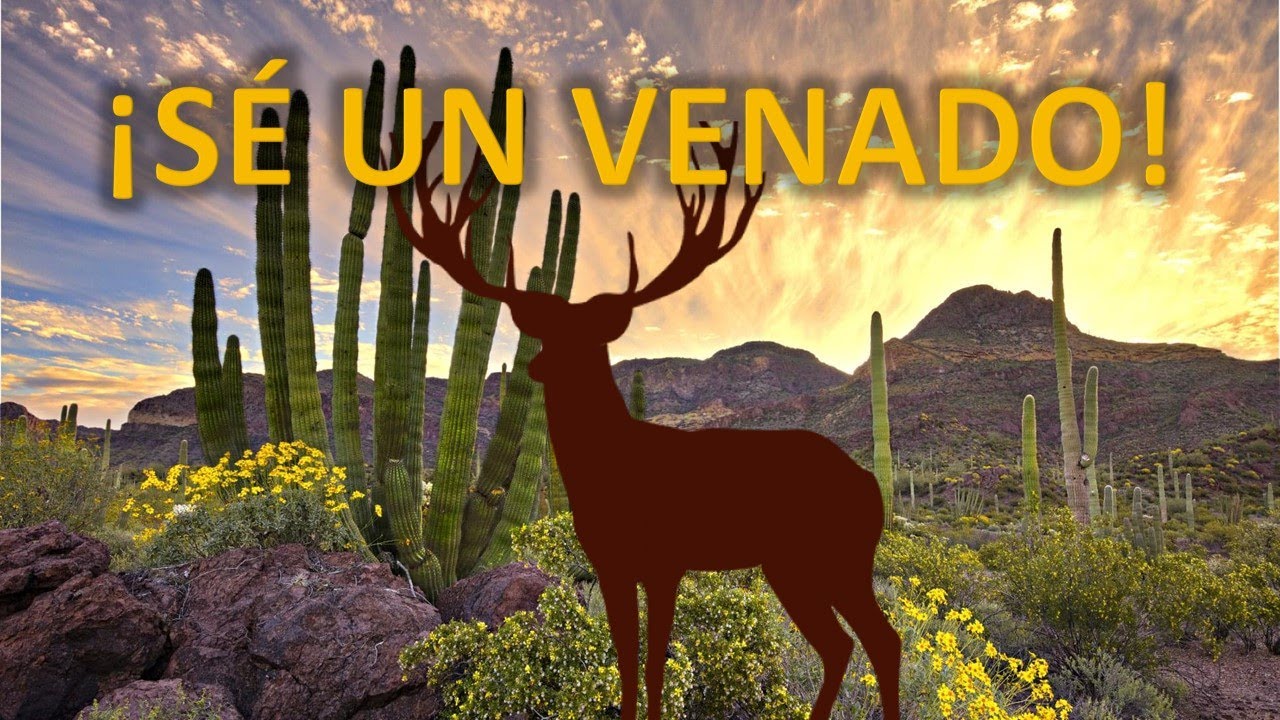 Instituto Tecnológico de Hermosillo: Información para nuevo ingreso