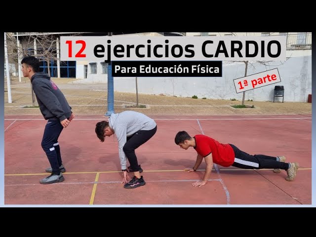 Las tres áreas de la educación física: conócelas a fondo