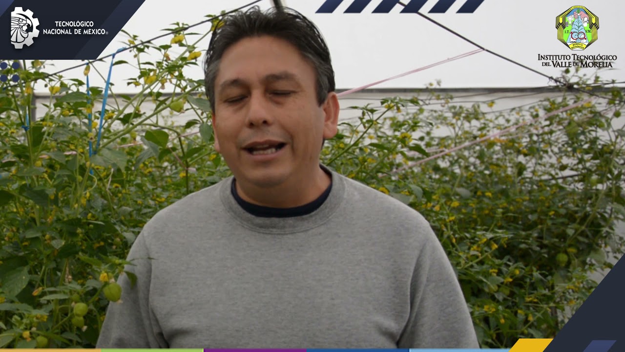Máster en Ingeniería para la Innovación Agrícola Sustentable