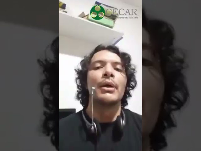 Niveles de rendimiento en Educación Primaria