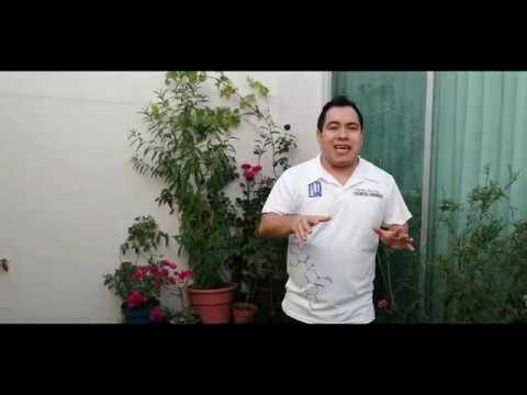 Oportunidades laborales en Ciencias Políticas y Administración Pública