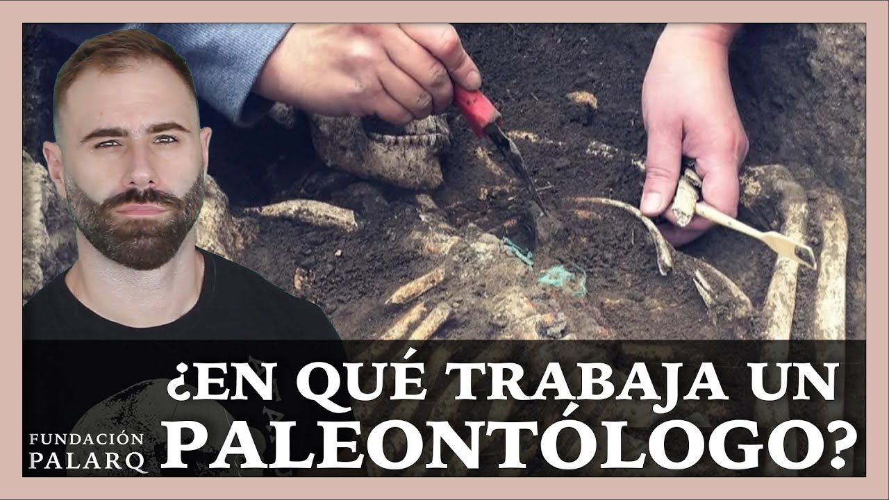 Paleontólogo: ¿Qué hace este profesional?