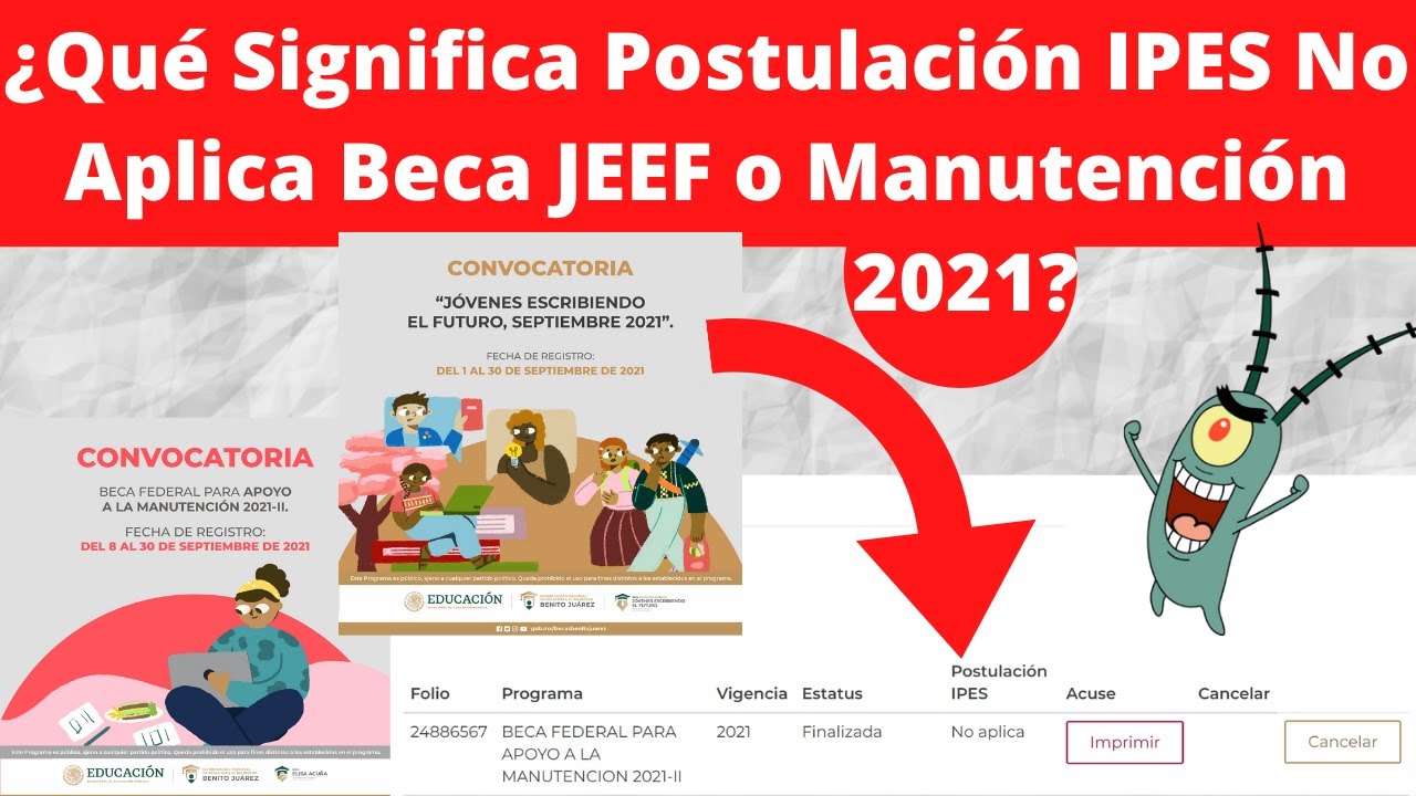 Significado de postulación IPES no aplica