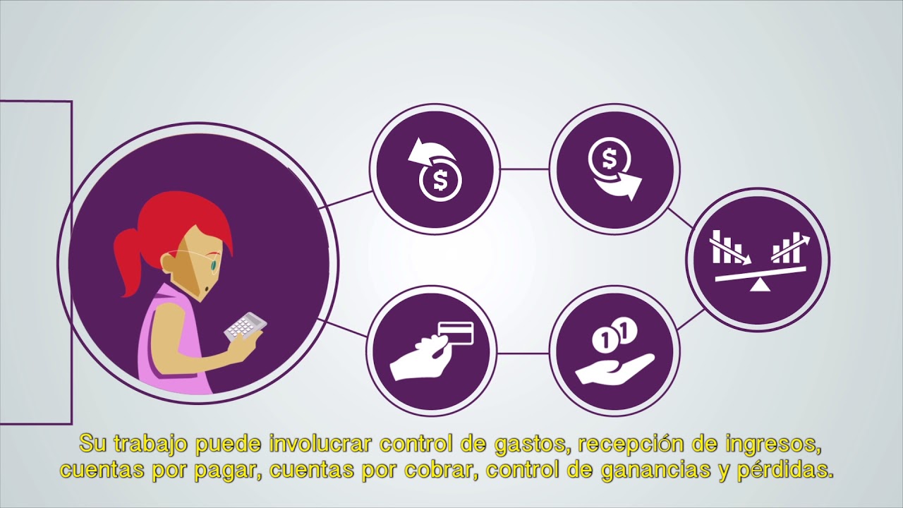 Técnico en Contabilidad: ¿Qué es?