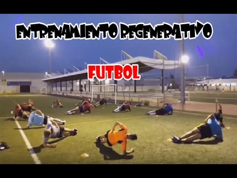 Trabajo Regenerativo en Educación Física