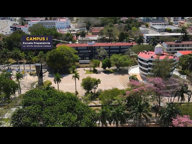 Universidad Autónoma de Campeche: ¡Donde el conocimiento brilla!