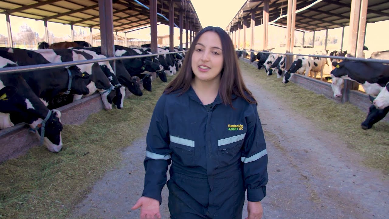 Universidades destacadas para estudiar Ingeniero Agrónomo en México