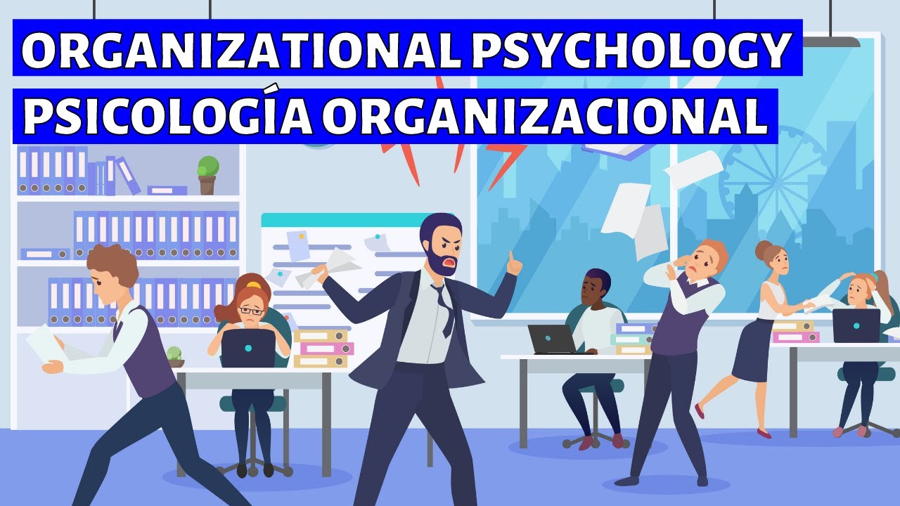 Campo de trabajo de la Psicología: una visión general