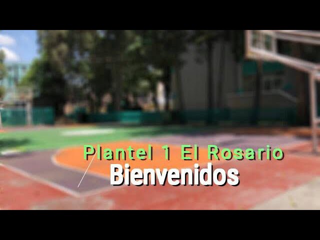 Colegio de Bachilleres 1 El Rosario: ¡Tu futuro comienza aquí!