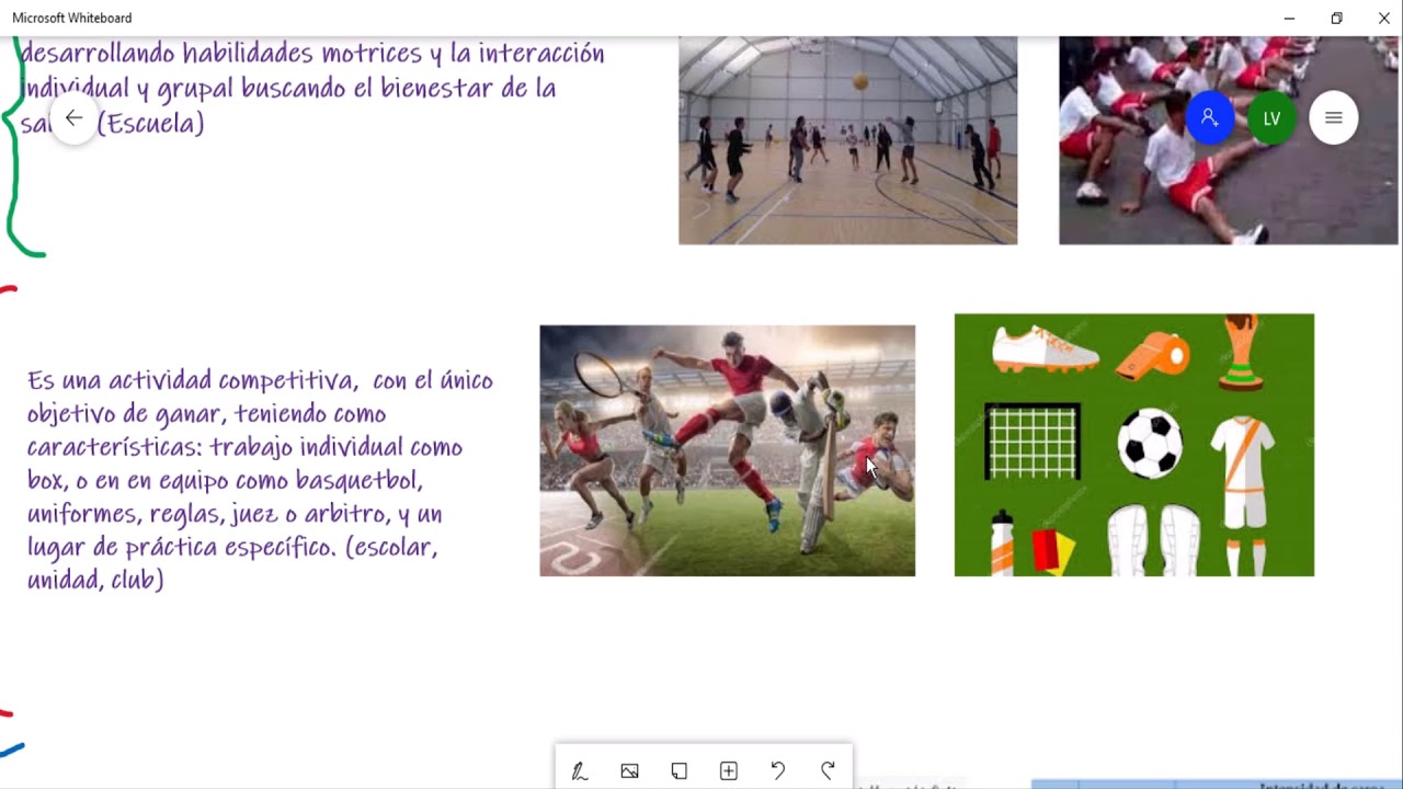 Contenidos básicos de educación física
