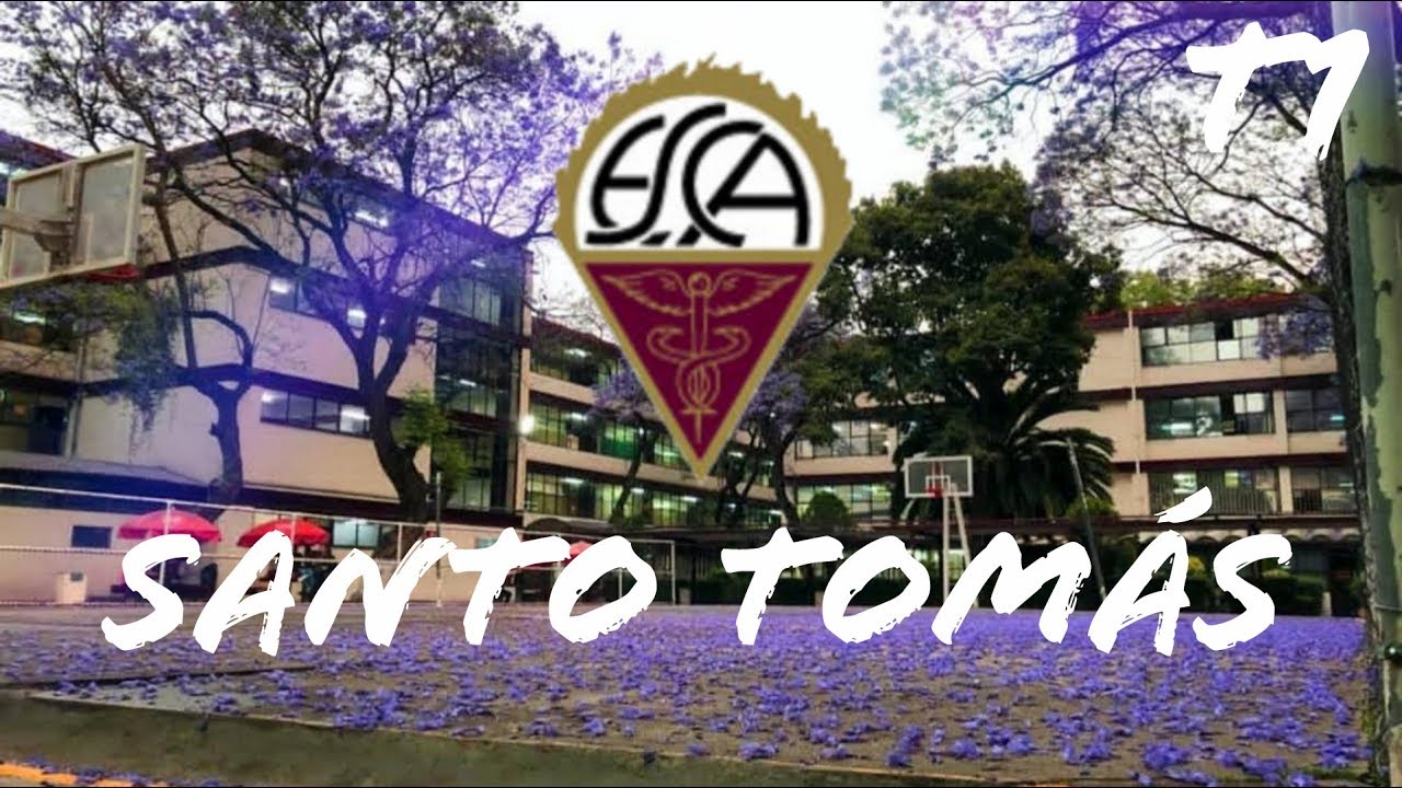 ESCA unidad Santo Tomás: tu futuro en comercio y administración