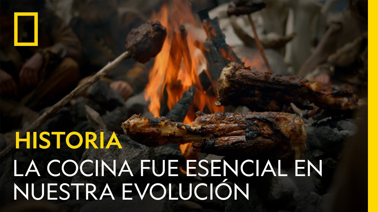 Historia de la gastronomía: ¡Explórala!