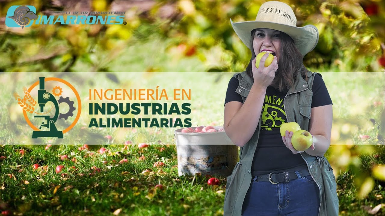 Ingeniería de industrias alimentarias: descubre en qué consiste