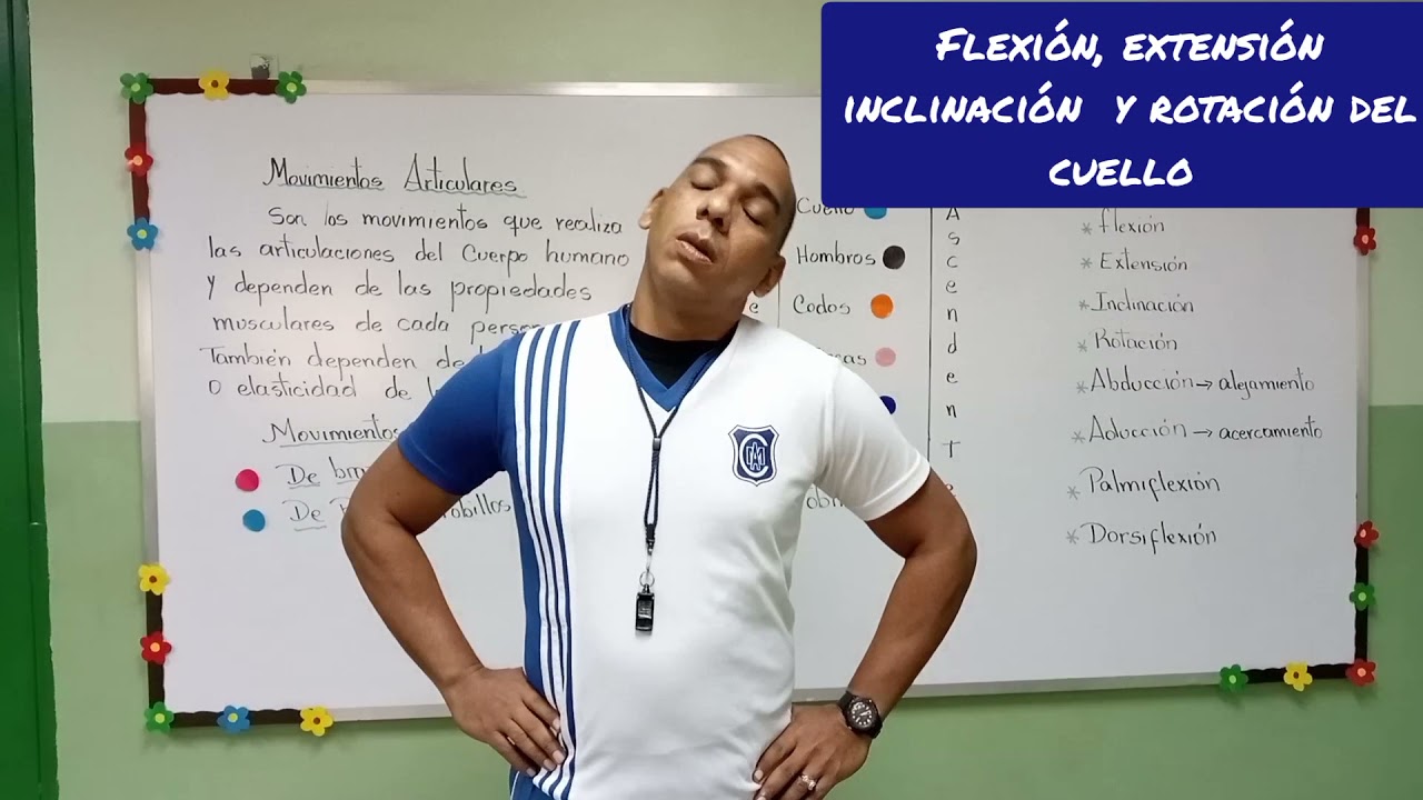 Movimientos articulares en educación física