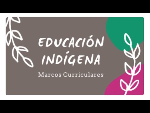 Nuevos marcos curriculares para educación indígena