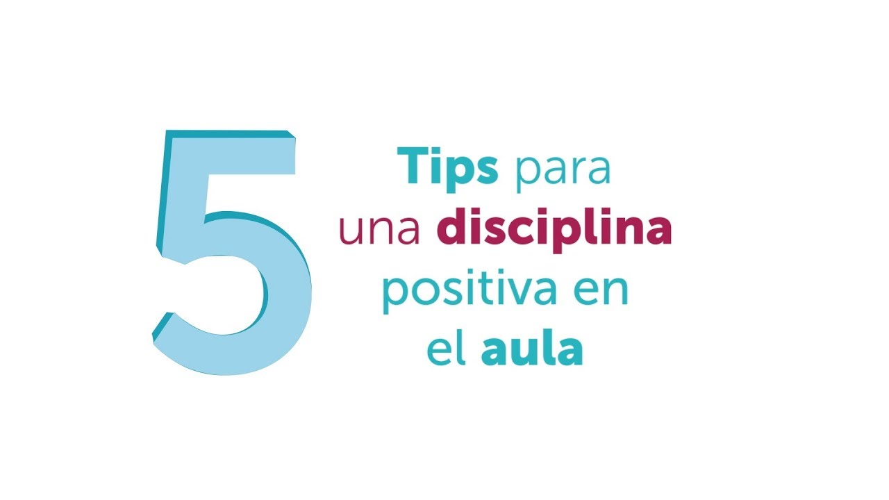 Organización y disciplina en educación física