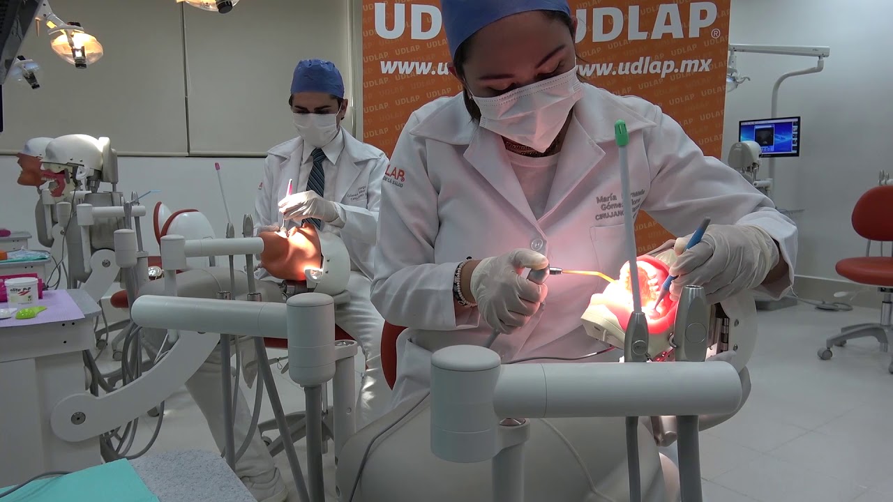 Plan de estudios de cirujano dentista en UDLAP