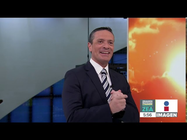 Plaza de Santo Domingo: Documentos Falsos Descubiertos