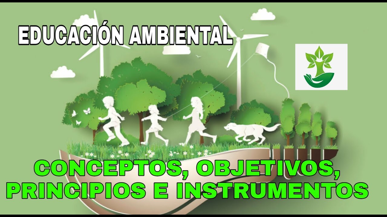 Principios de educación ambiental