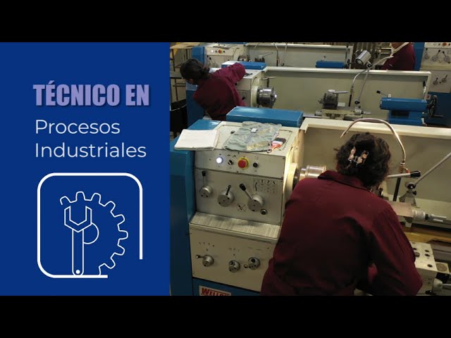 Técnico en Procesos Industriales - CECYT 11