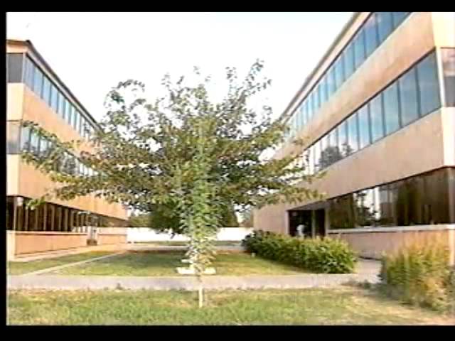 Todo sobre la Universidad Autónoma de Durango en Ciudad Juárez