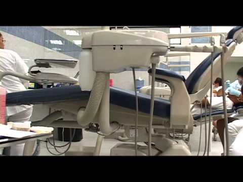 Universidad Autónoma de Veracruz: Descubre la UAV Villa Rica