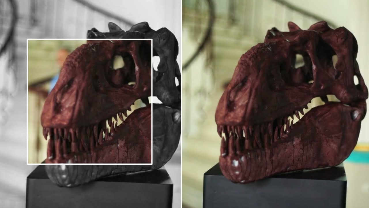 Universidad Humanista de las Américas en Paleontología