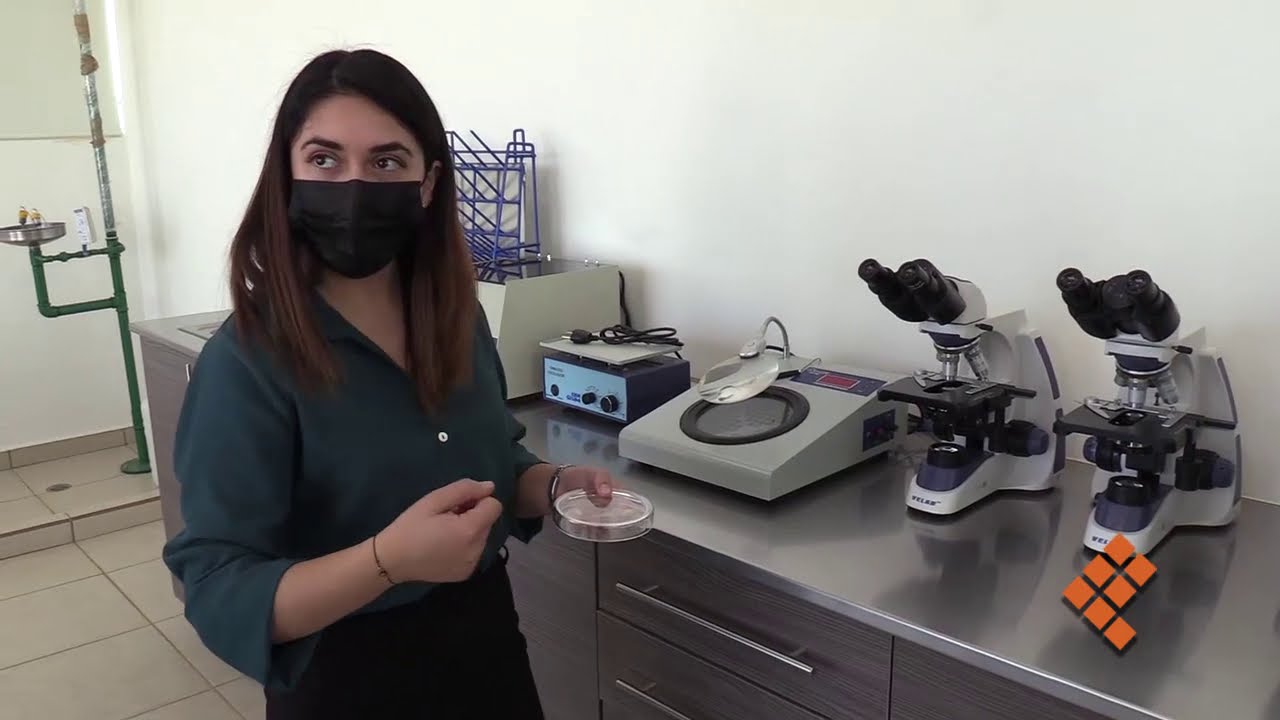 Universidad de medicina en Morelia Michoacán: Tu próxima meta