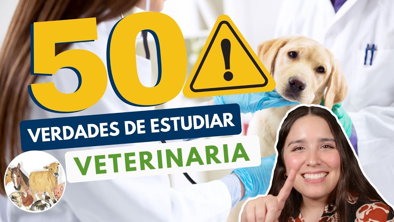 ¡Descubre la Facultad de Medicina Veterinaria y Zootecnia en UNACH!