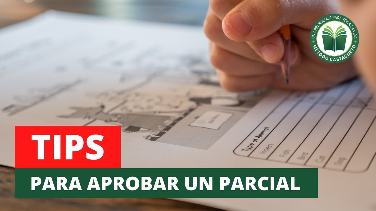¿Cuánto dura un parcial universitario?