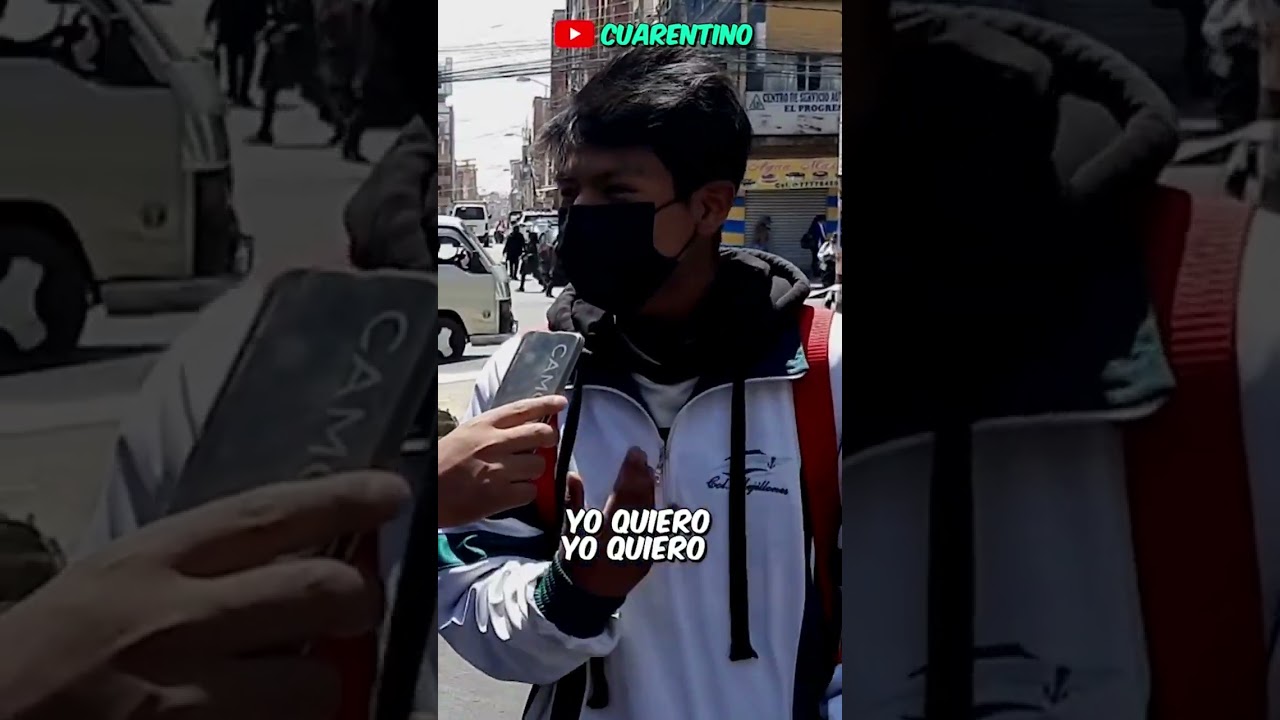 ¿La UMSA es privada o estatal?