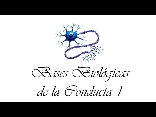 Bases biológicas de la conducta: Aliat