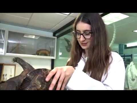 Campo laboral en Ciencias Biológicas y Agropecuarias