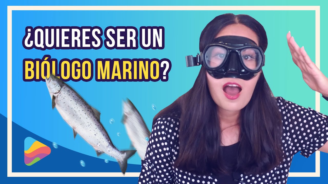 Ciencia marina: el estudio de los animales marinos