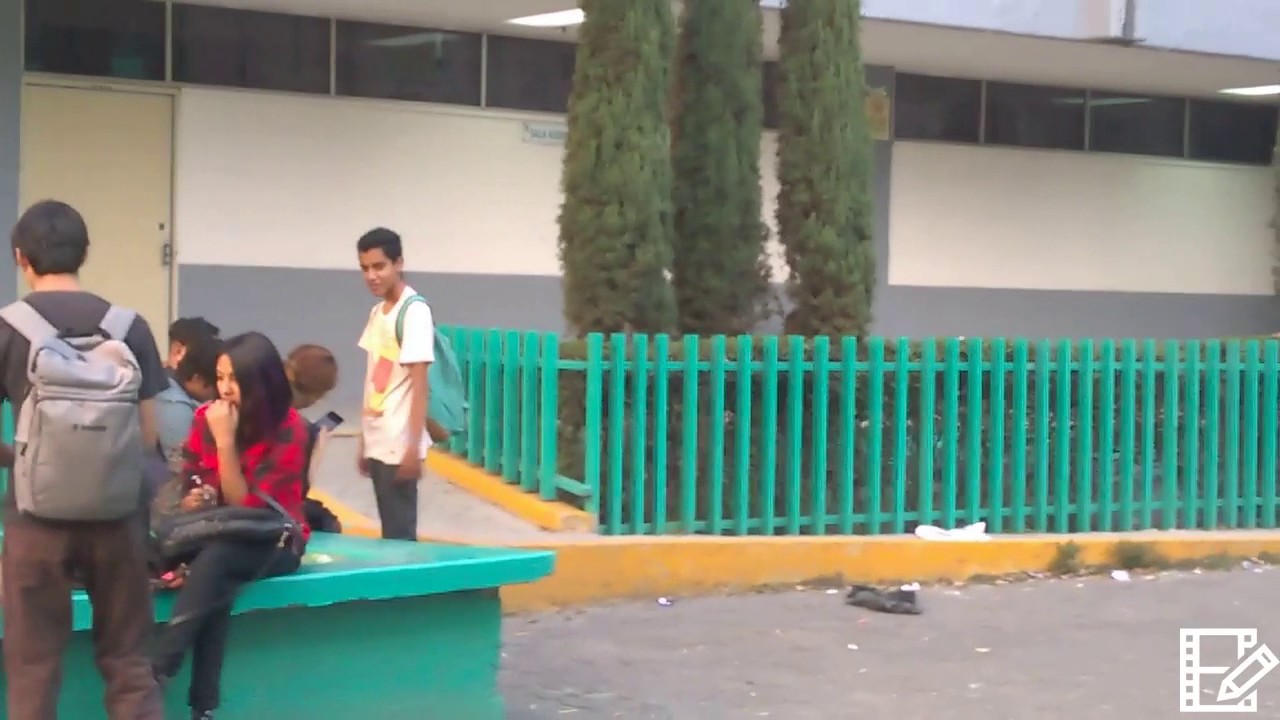 Colegio de Bachilleres Plantel 19 en Ecatepec: Clave y más