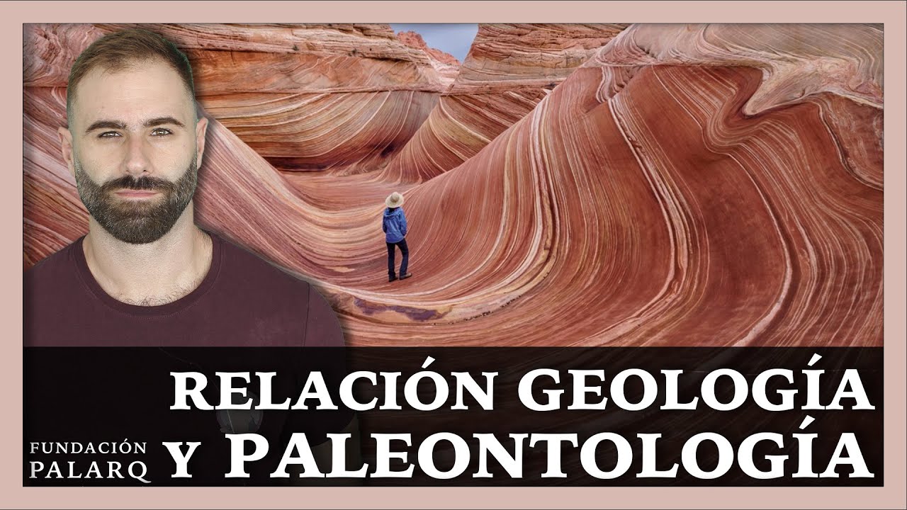 Descubre las funciones de los geólogos y paleontólogos