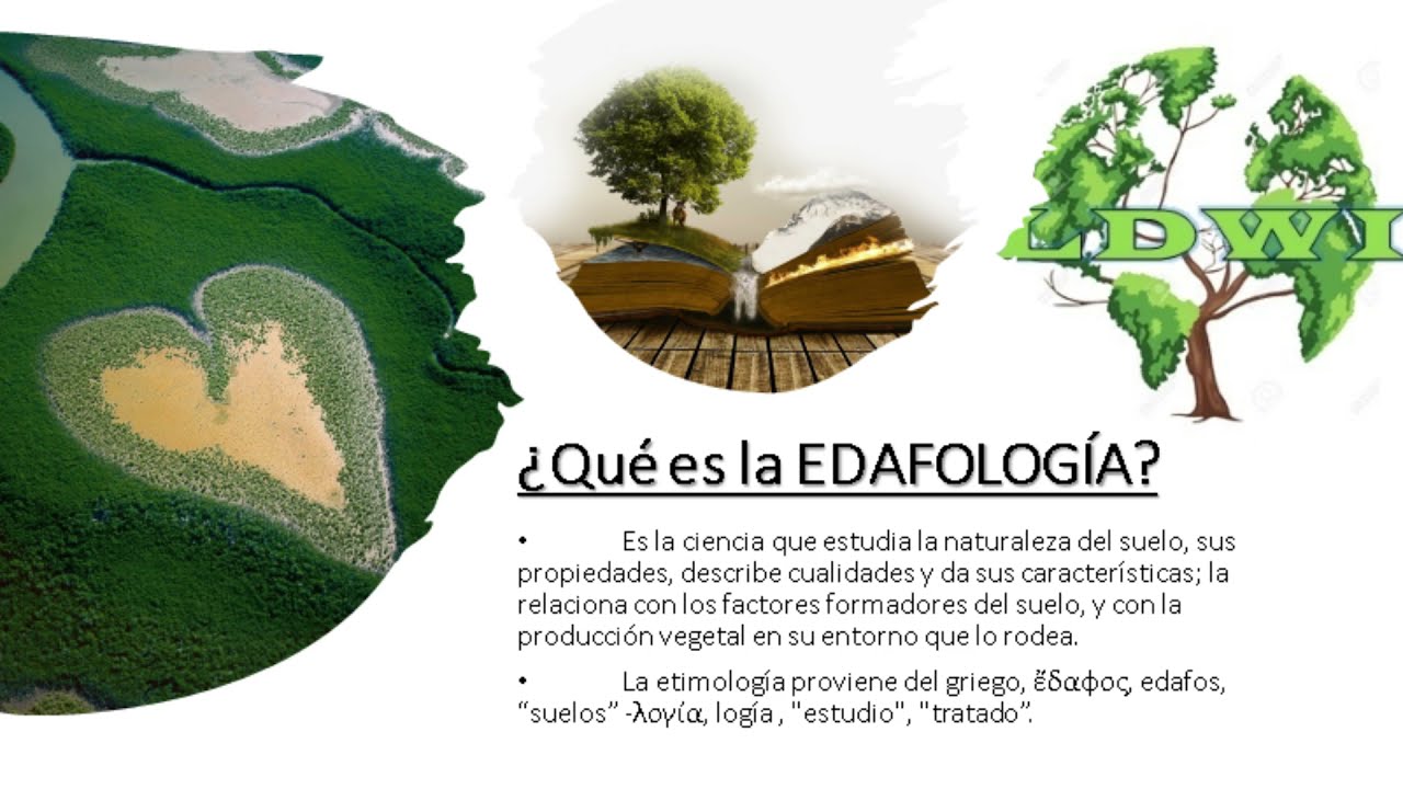 Edafología: La Ciencia del Suelo