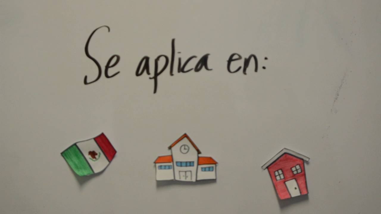 Educación socialista: un enfoque educativo íntegro